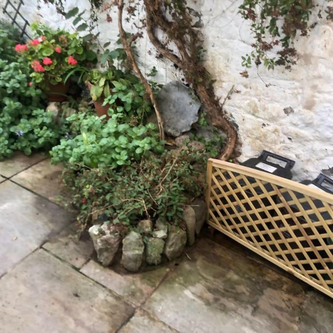 Lyme Clifftop Hideaway Lyme Regis Exterior foto